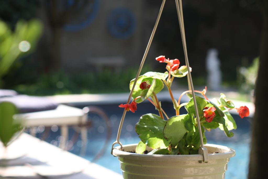 L'Abri Du Poete Bed & Breakfast Besse-sur-Issole ภายนอก รูปภาพ