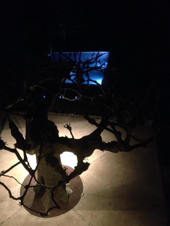 L'Abri Du Poete Bed & Breakfast Besse-sur-Issole ภายนอก รูปภาพ