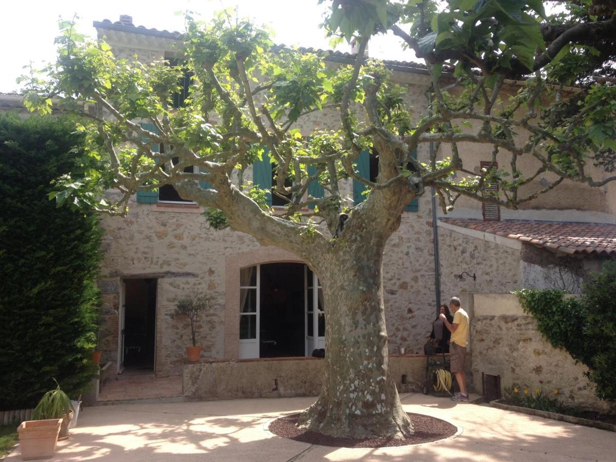 L'Abri Du Poete Bed & Breakfast Besse-sur-Issole ภายนอก รูปภาพ